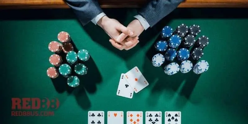 Bí Quyết Chơi Game Bài Catte Thắng Lớn Từ Cao Thủ 6686bet